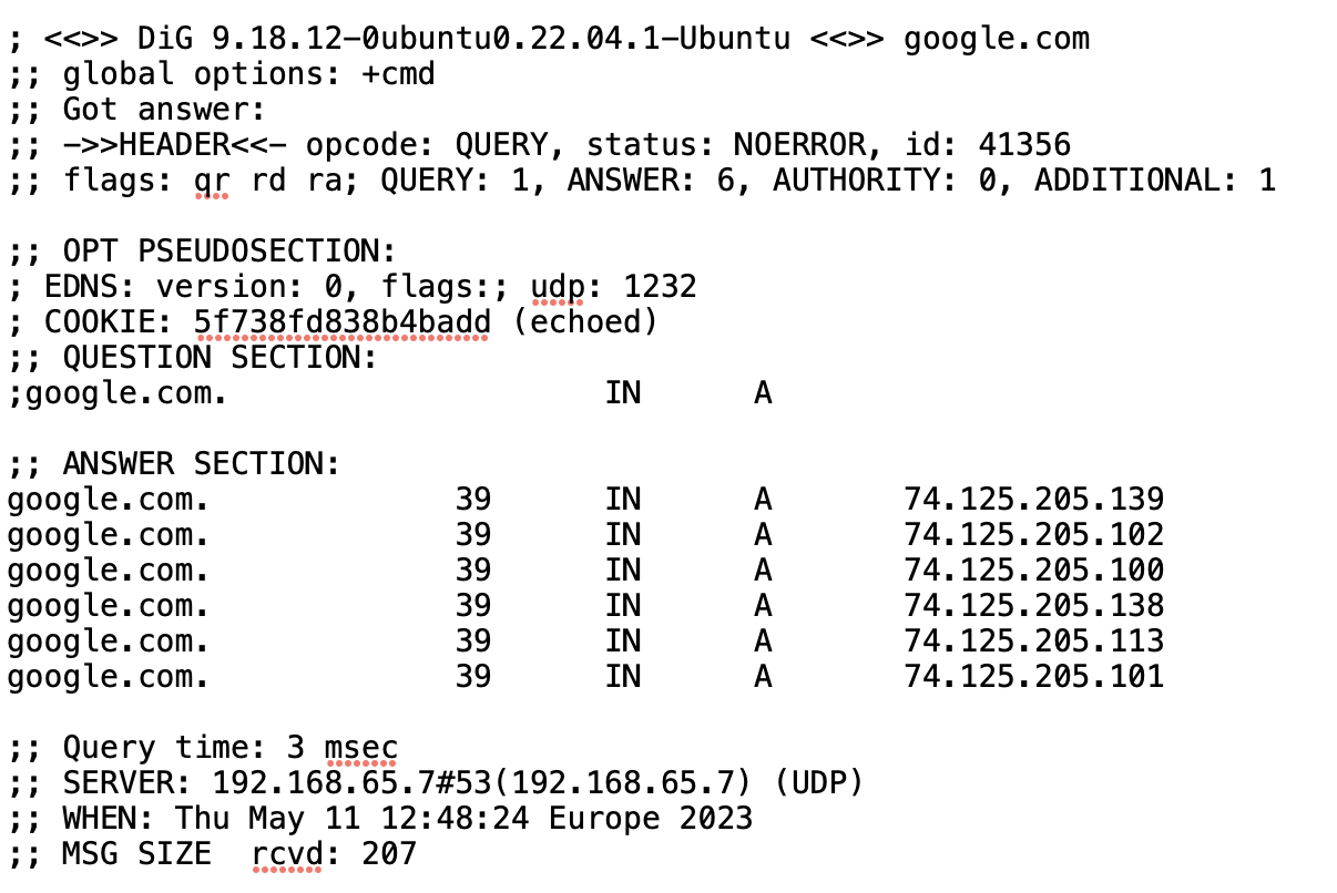 dns, output